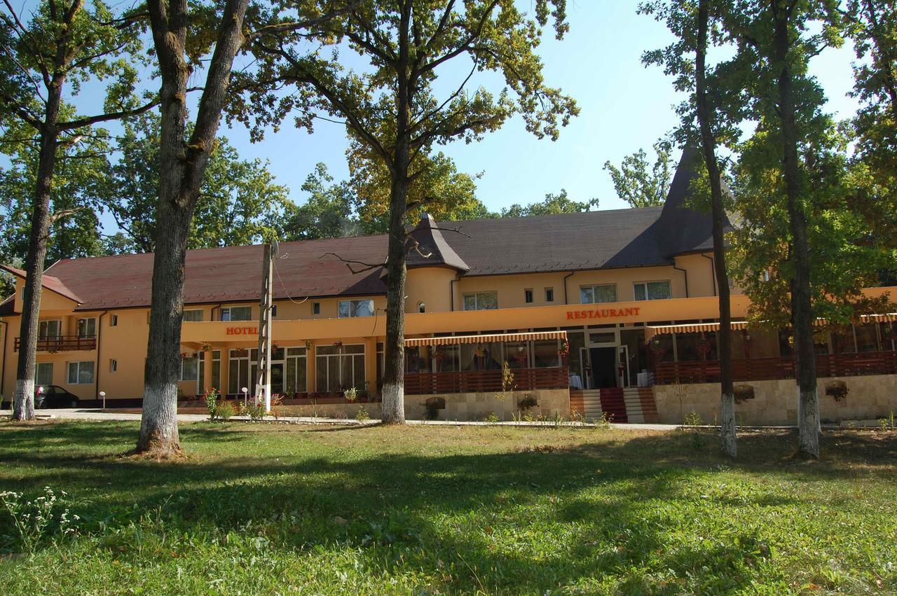 Hotel Doua Veverite Lapusel Dış mekan fotoğraf